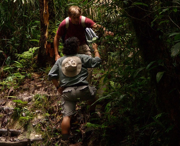 Natürlicher Anbau seltener Pflanzen