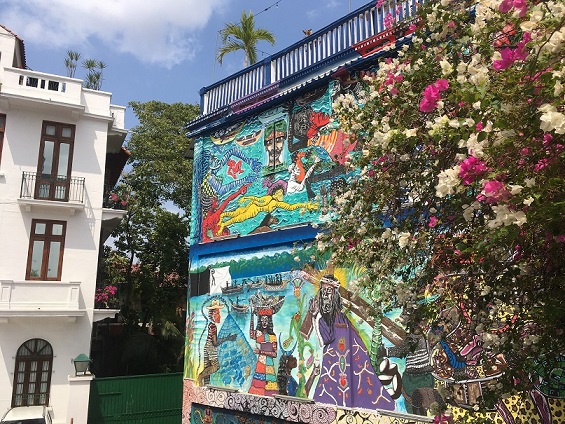 ethnoplants pflanze und samen